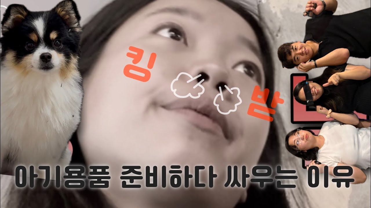 [VLOG] 35주 임산부의기록 | 셀프 애견 미용🐶| 다툼의 이유👊🏻| 라크렘 산후조리원 산전 마사지 후기 | 출산 전 마지막 (?) 방탈출,아웃백,영화🤍