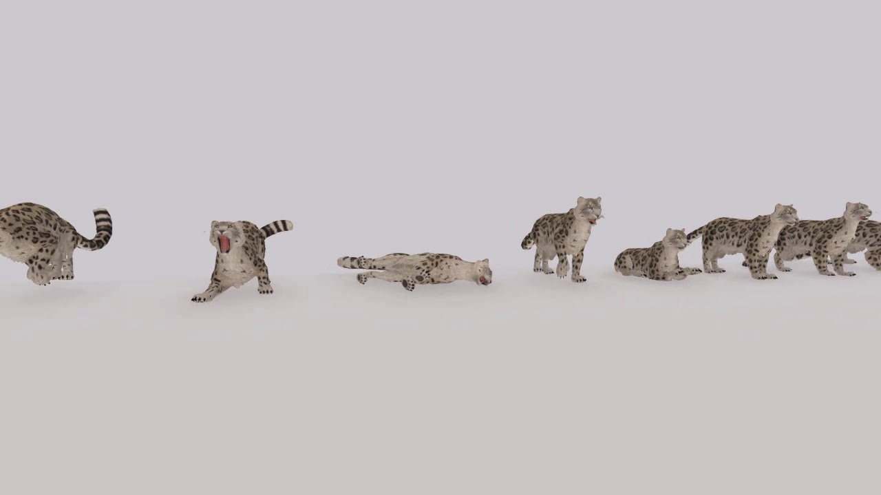 Preview Animesh Animated Tiger