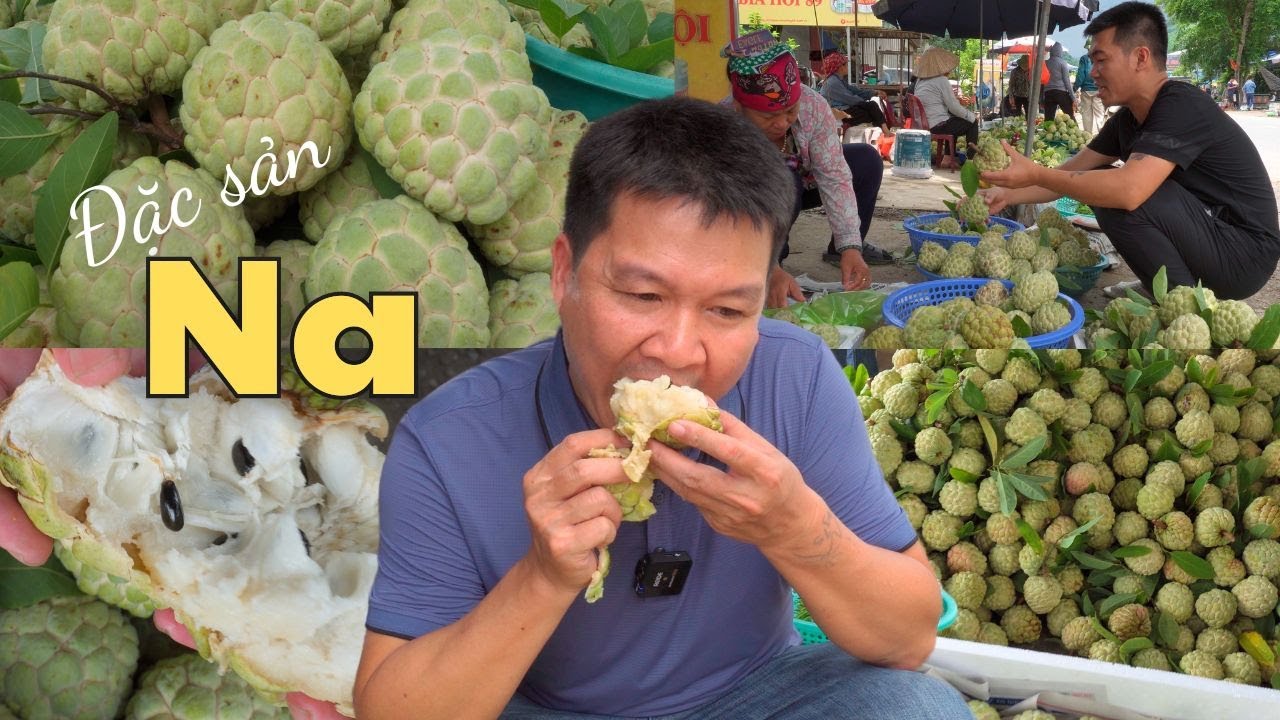Đặc sản Na vừa To vừa Ngon ở La Hiên | Du Lịch Ẩm Thực cùng Trà Tâm Xuân
