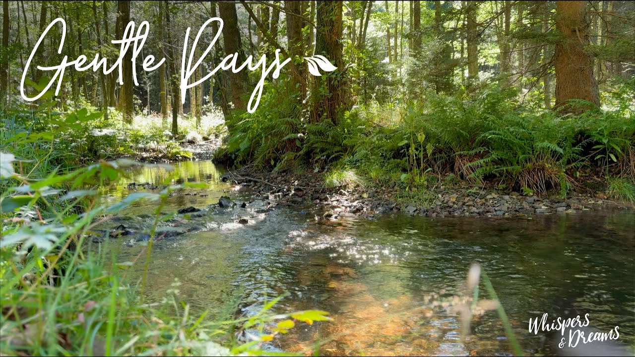 Relax by a Gentle Creek in Germany | Nature Sounds for Calm