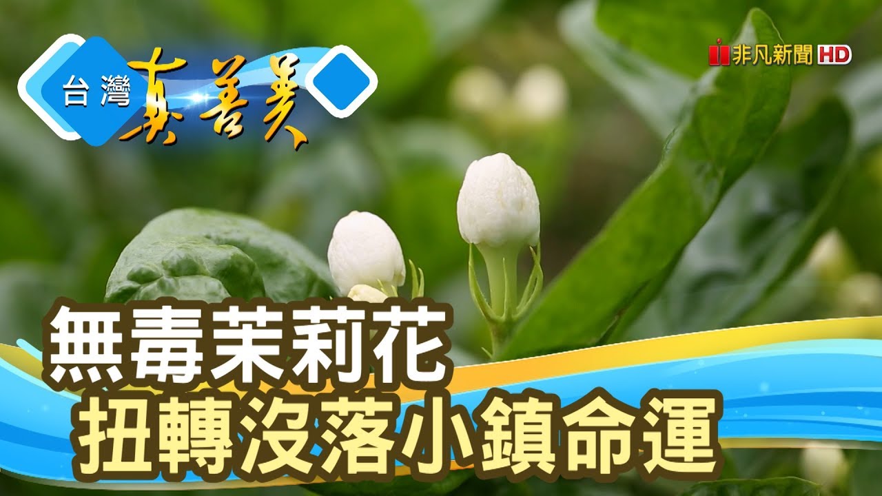 重振“茉莉花小鎮”美名【台灣真善美】2019.06.16