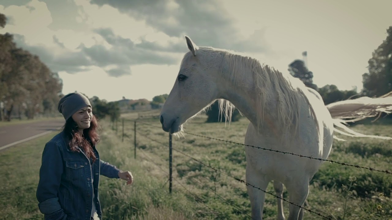 First Test Shoot using Ronin-S #portraitshoot #creativevedios