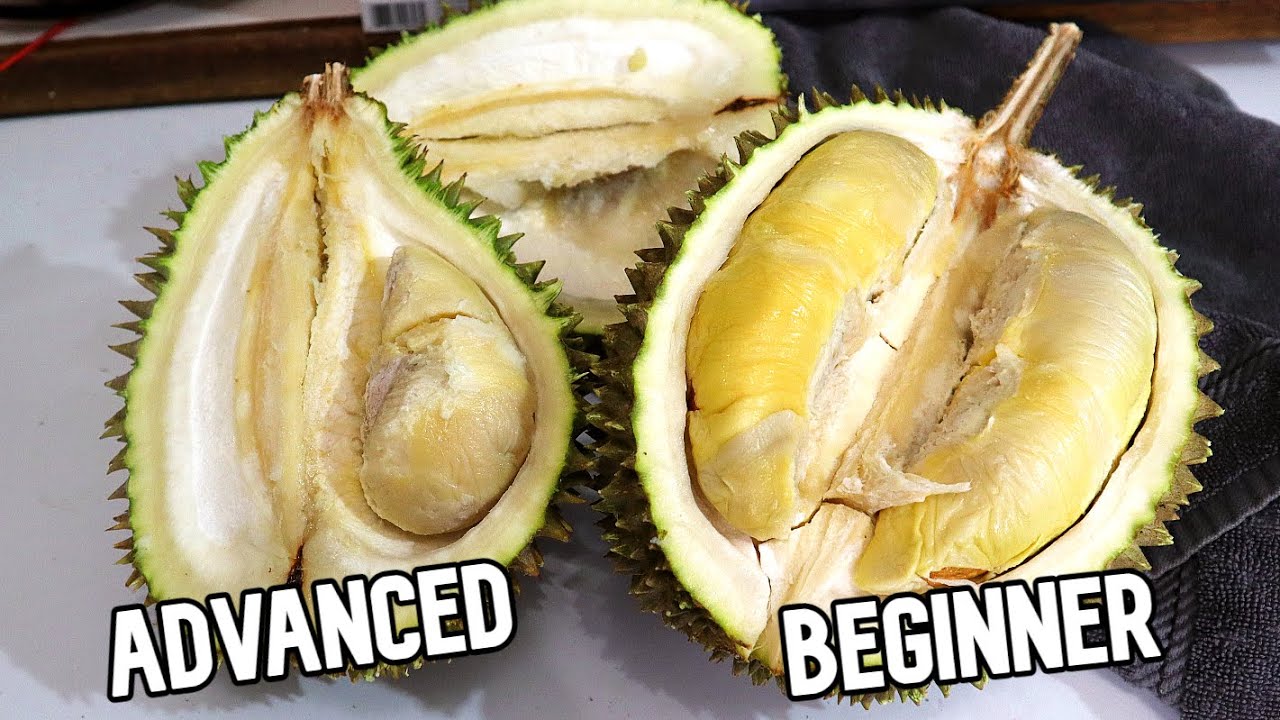 Сравнение дурианов: Musang King и D24 — Weird Fruit Explorer