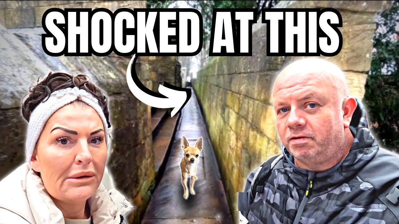 ТЕМНАЯ СТОРОНА VANLIFE В ЙОРКЕ