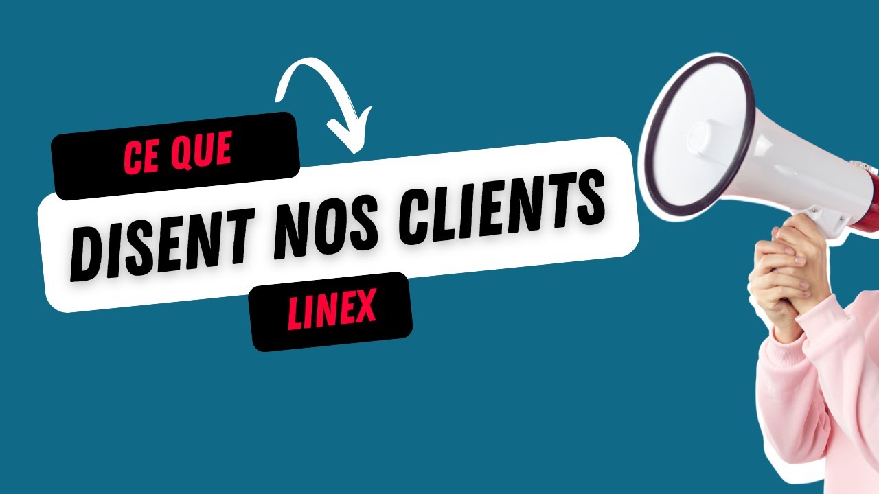 Comment dédouaner un fort volume de marchandises en toute conformité ? Témoignage de Linex