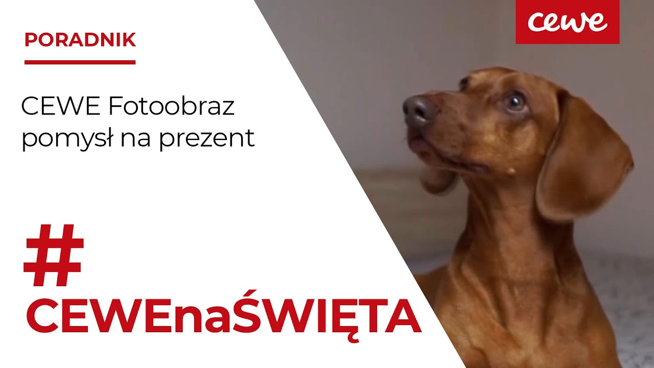CEWE Fotoobraz - pomysł na prezent #CEWEnaŚWIĘTA