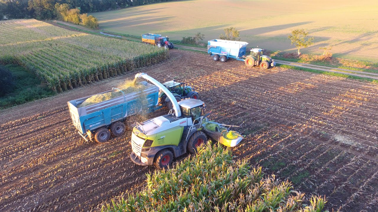 🌽 Ensilage de maïs 2023 / Claas Jaguar 970 de l'ETA Le Breton / Deutz Warrior