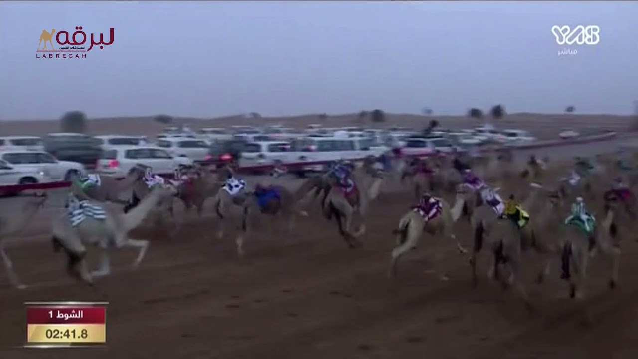 ش1 سباق الحقايق (للقبائل) مهرجان سمو الشيخ محمد بن زايد آل نهيان -صباح 26-12-2021