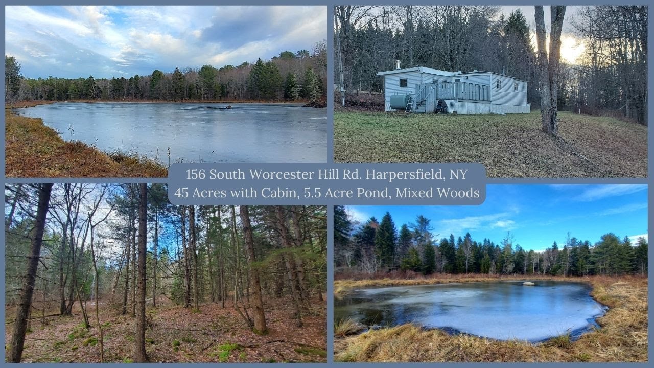 45 Acres with Huge 5+ Acre pond, cabin, mixed woods! 156 S. Worcester Hill Rd. Harpersfield, NY