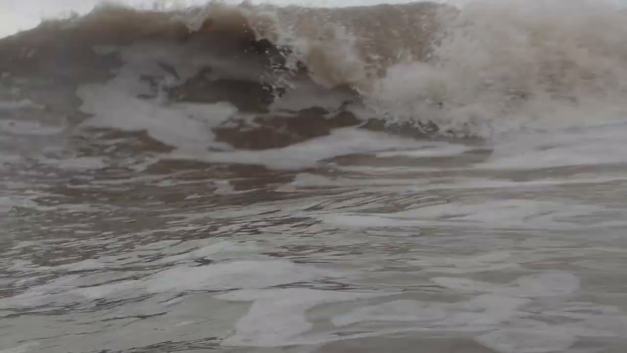 Mardi Gras Surf! ⚜️🌴🌊🐬🌊🌴⚜️😎🤙 #galveston #bodysurfing 