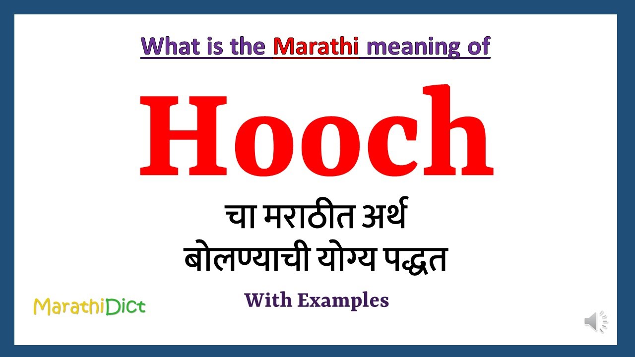 Hooch Meaning in Marathi | Hooch म्हणजे काय | Hooch in Marathi Dictionary |