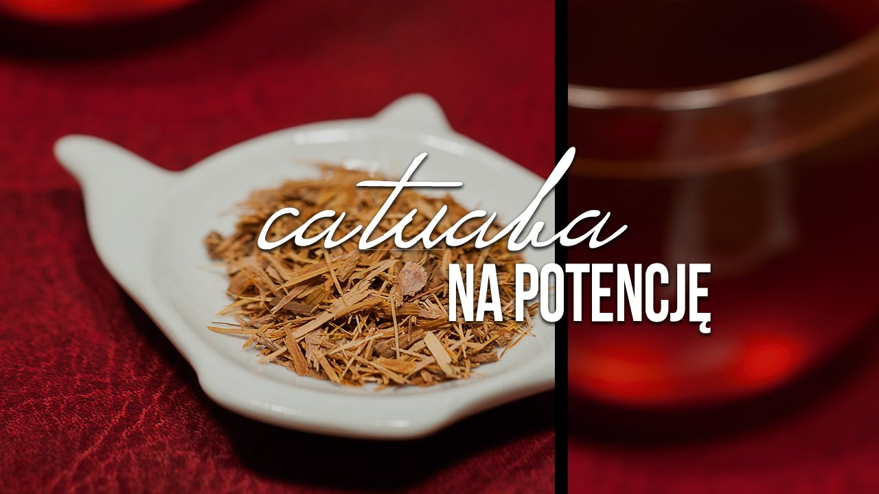 Catuaba. Afrodyzjak i lek na potencję. Catuaba parzenie, właściwości. Czajnikowy.pl