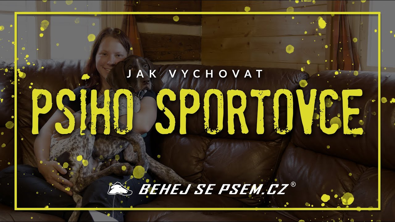 Jak vychovat psího sportovce? | 1. díl