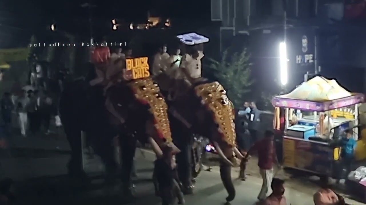 Trithala fest 15 Feb 2023 രാത്രി കാഴ്ച്ച
