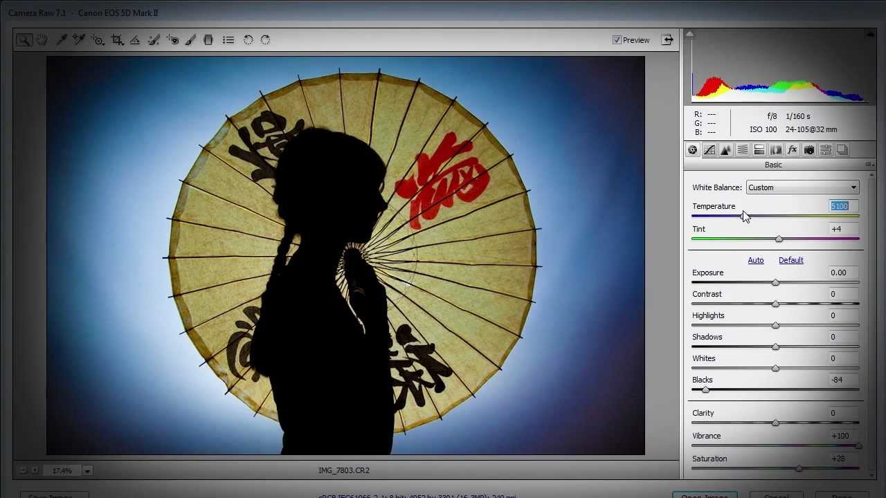Shooting a Silhouette Ep 104: Take & Make Great Photography with Gavin Hoey: Adorama Photography TV