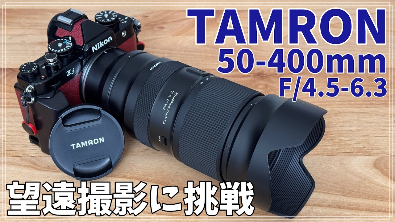 【TAMRON】50-400mm F4.5-6.3 & Nikon Zfで望遠撮影にチャレンジ！札幌の円山公園でリスを追いかけました【使用感レポ】