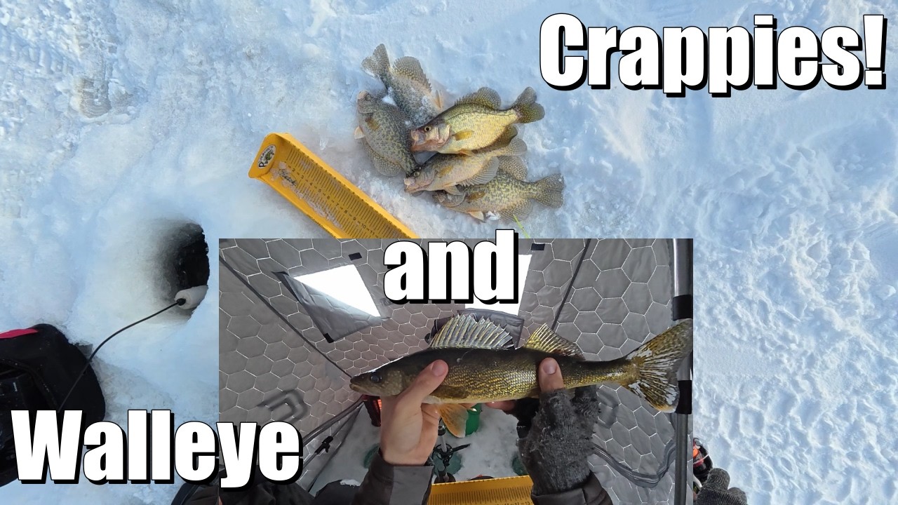 Up North WALLEYE and CRAPPIES! 2026 Northern MN Ice Fishing Trip Part 2