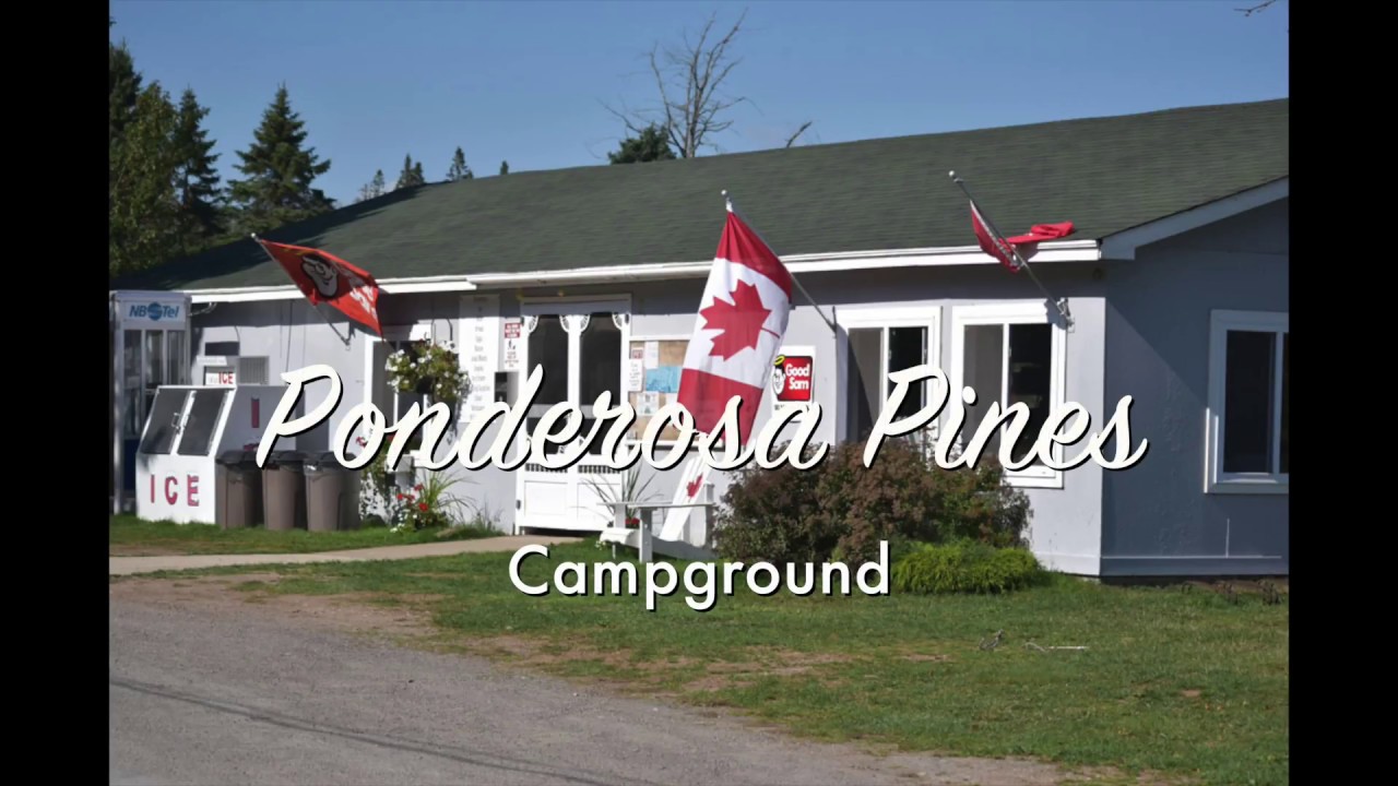 Ponderosa Pines Campground, Hopewell Cape, New Brunswick