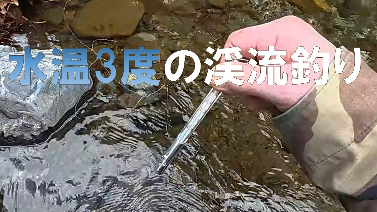 水温3度　早春の渓流餌釣りで狙う場所