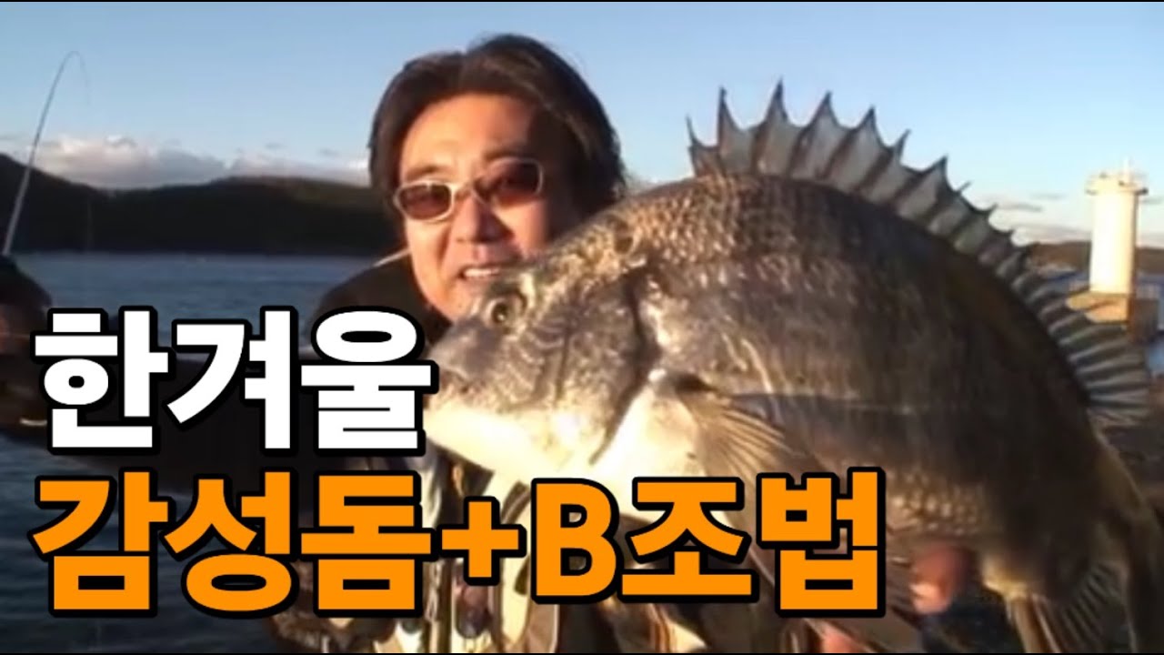 한겨울 대마도 감성돔과 B조법 #박진철프로 #대마도 #갯바위낚시
