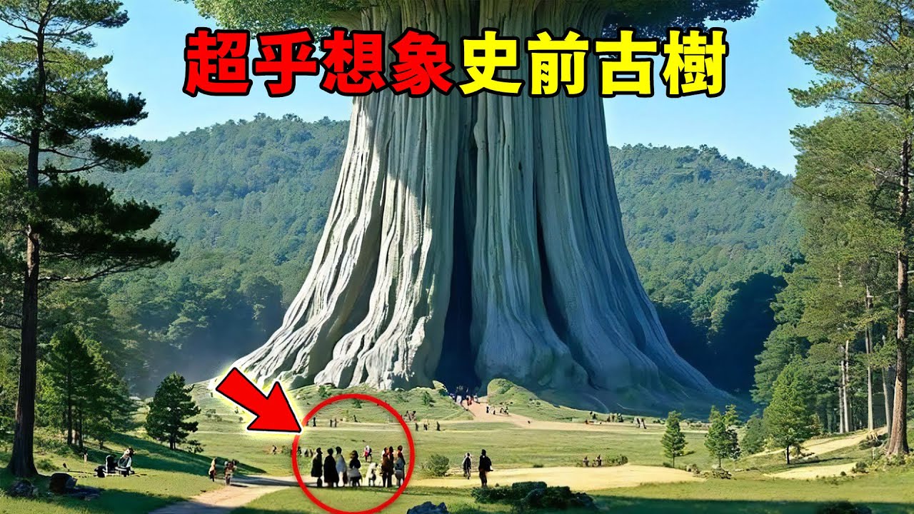 全世界最古老的十棵樹！ 2000年的老樹只能墊底，第一名年齡嚇到科學家，地點至今保密！