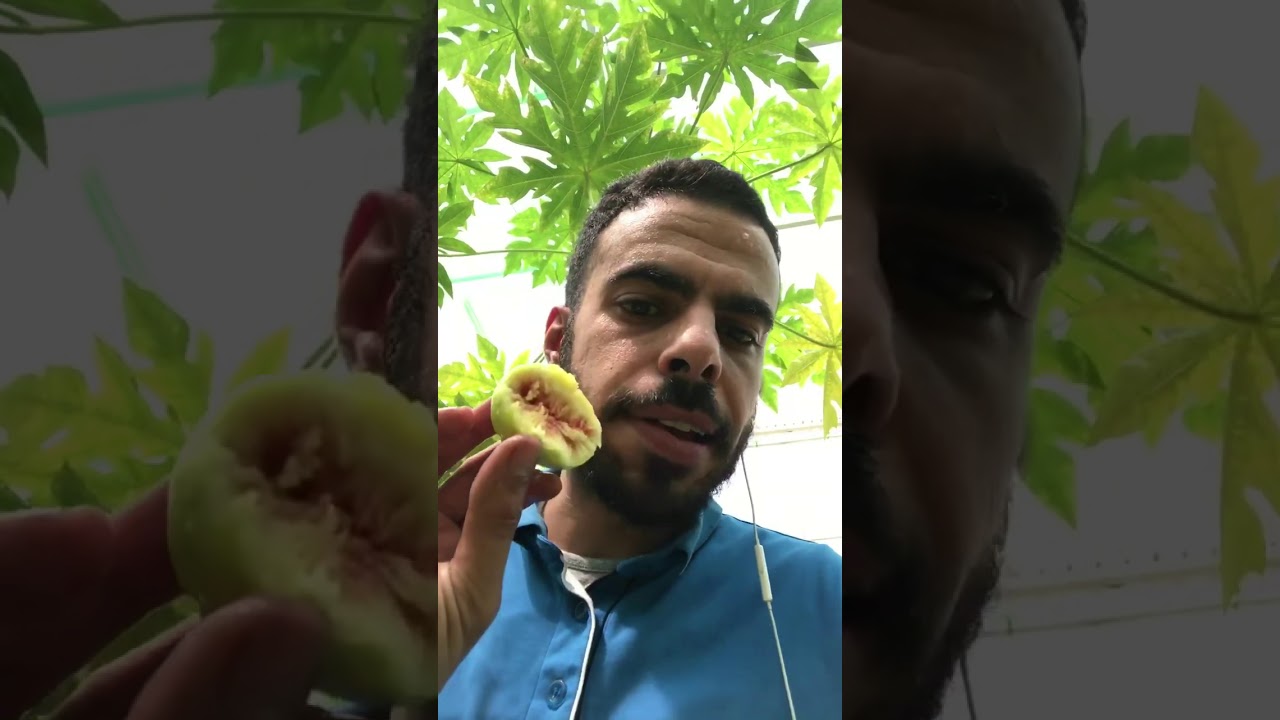 محمية كويتيه عضوية بدود الارض