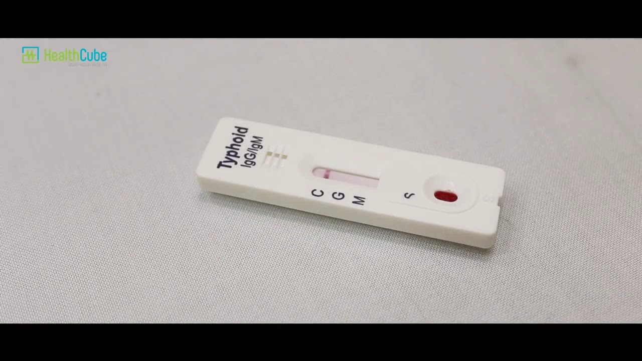 How to do Typhoid test with HealthCube