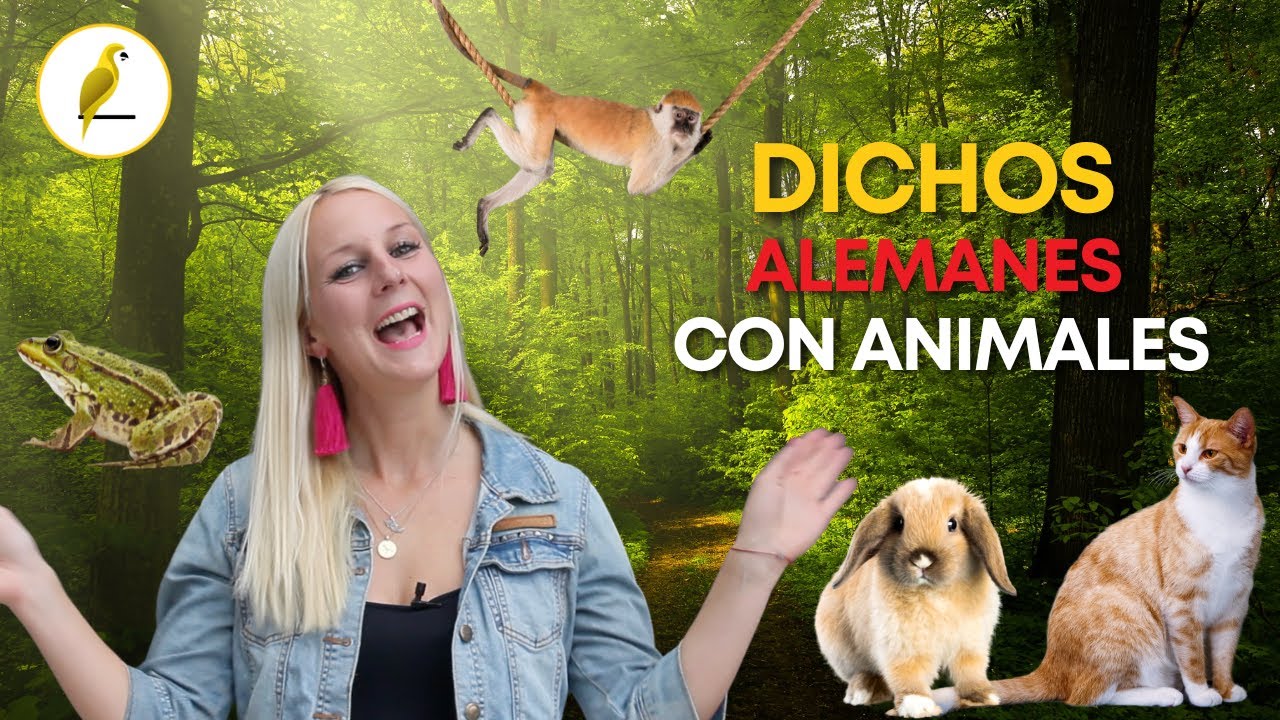 Dichos en alemán con animales - PARTE 1