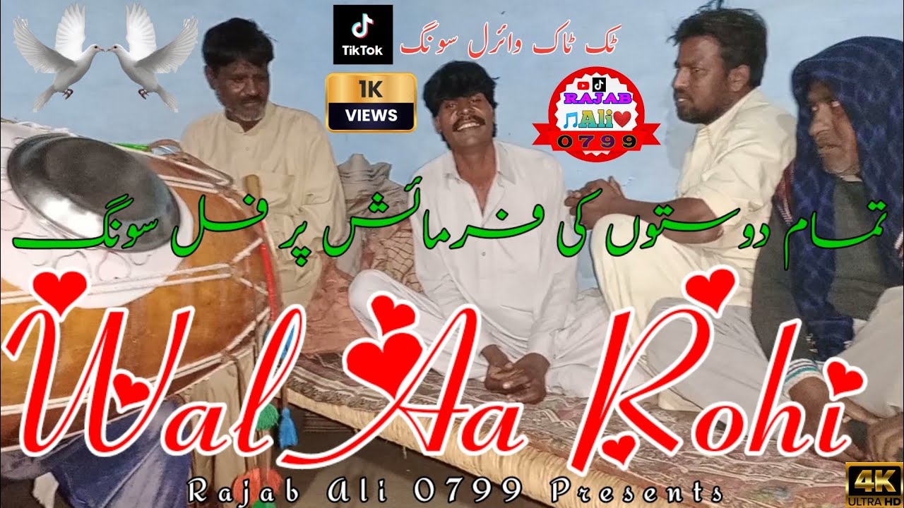 Wall Aa Rohi|Ghulam Hussain|Ghulam Rabbani|Saraiki Song|2025|(Official Video)|Rajab Ali 0799