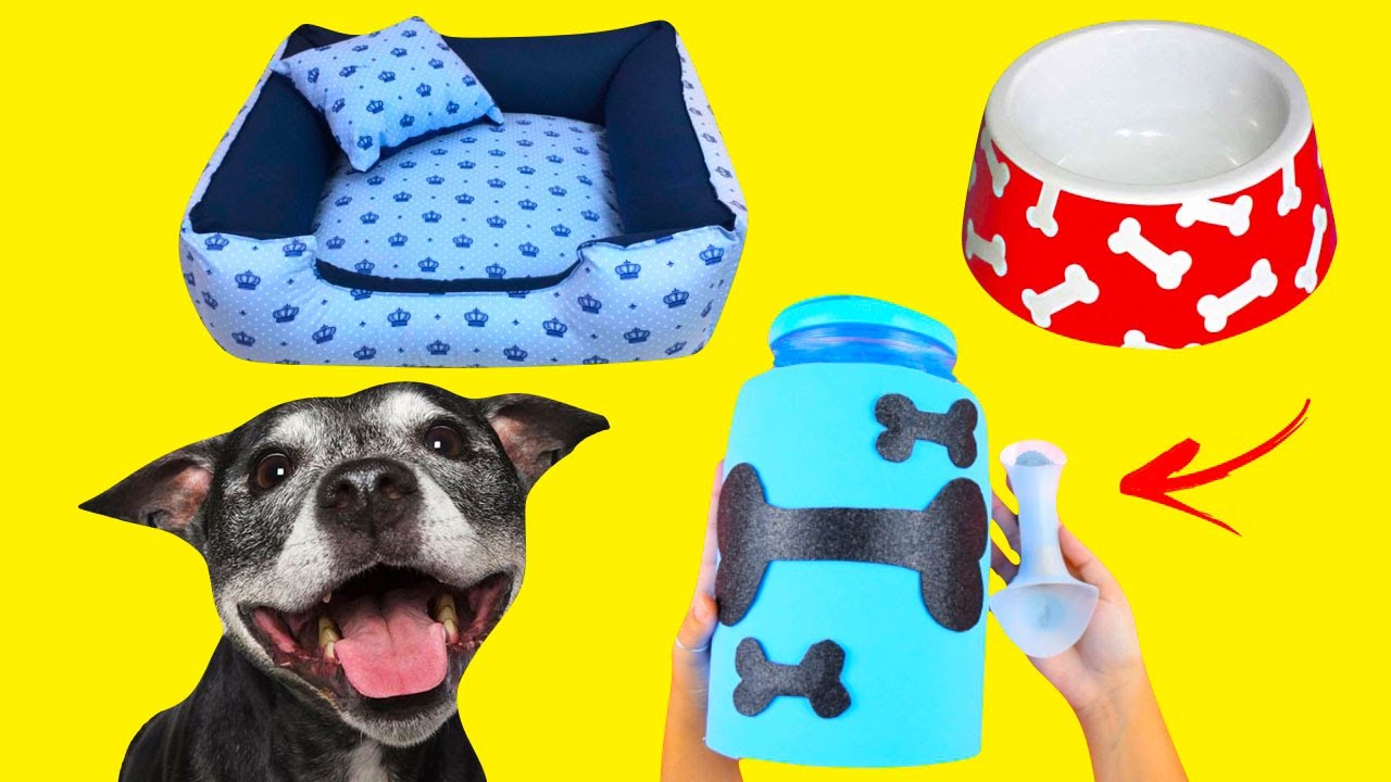 ARTESANATOS PARA CACHORROS E GATOS QUE VOCÊ PRECISA EXPERIMENTAR! | IDER ALVES
