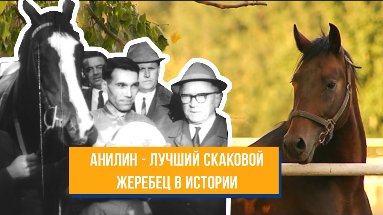 Фильм 