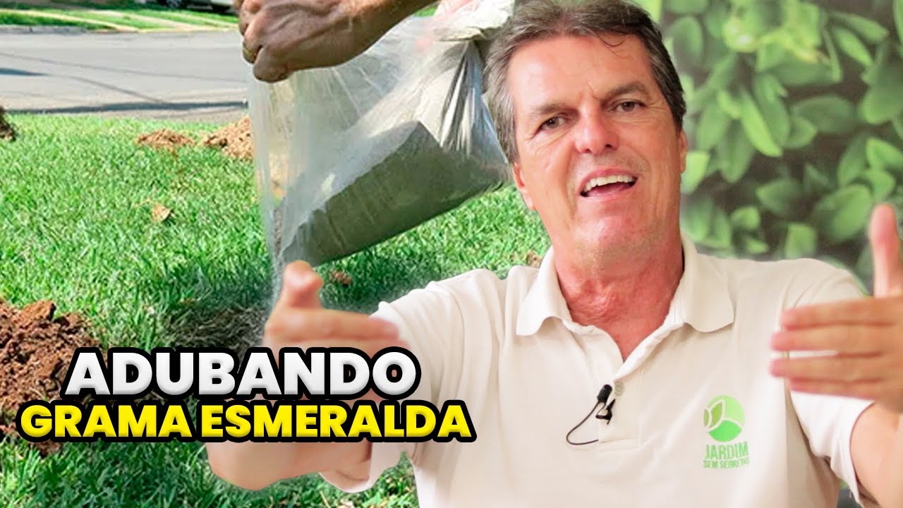 QUAL O MELHOR ADUBO para COLOCAR NA GRAMA ESMERALDA?