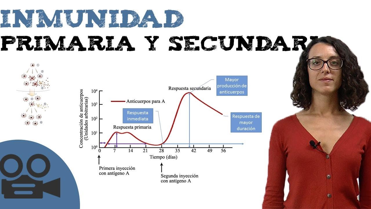 Inmunidad primaria y secundaria
