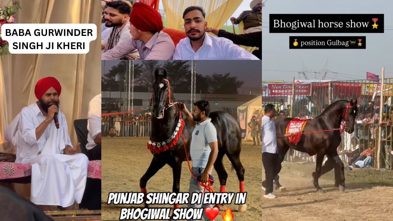 BHOGIWAL HORSE SHOW BABA GURWINDER SINGH JI KHERI DATE-8,3,2026