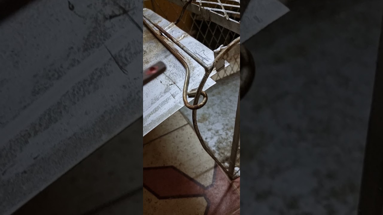 فكرة مصيدة القطط والثعالب وجميع الحيوانات السائبة بتكبير حجم المصيدة او تصغيرها