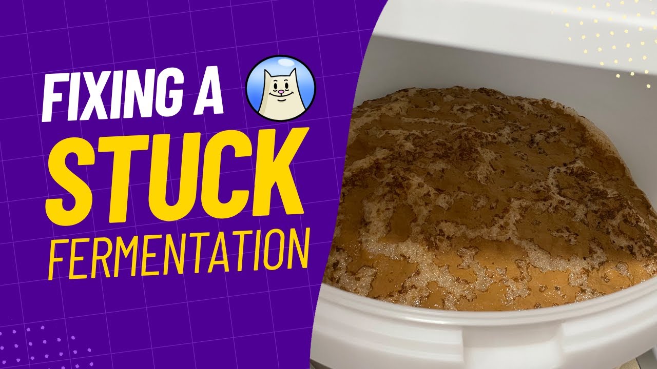 How to fix and prevent a stuck fermentation.