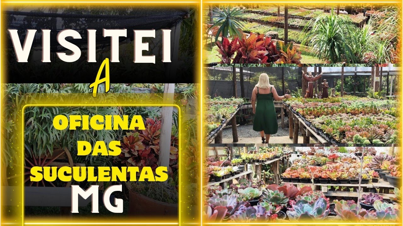 fui conhecer a oficina das suculentas em Minas Gerais - Pampulha - gravei para vocês