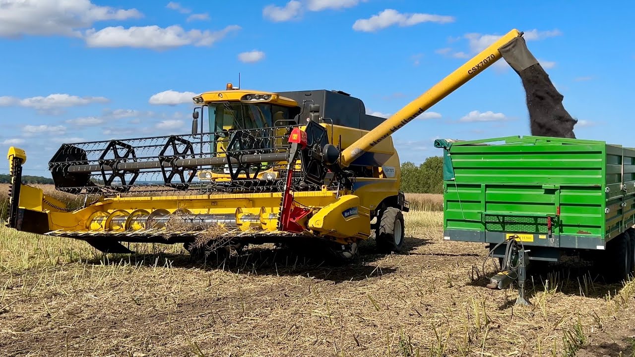 New Holland CSX7070 Harvesting Canola - Case Puma And Väderstad On Tillage (4K)
