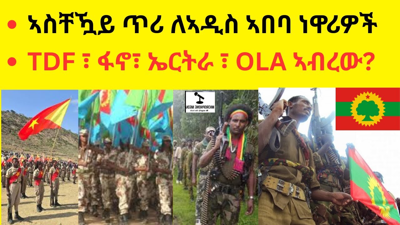 ኣስቸዃይ ጥሪ ለኣዲስ ኣበባ ነዋሪዎች   //   TDF ፣ ፋኖ፣ ኤርትራ ፣ OLA ኣብረው ሊሰሩ?
