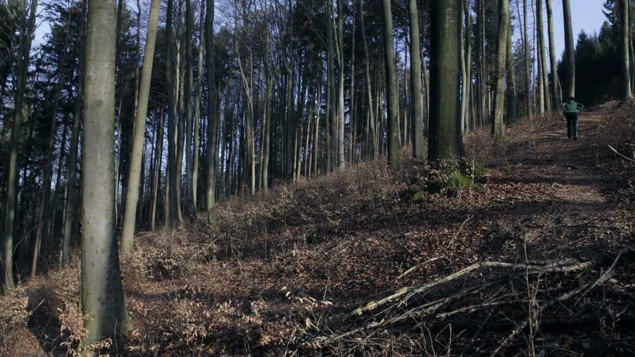 Sprehod (walk)