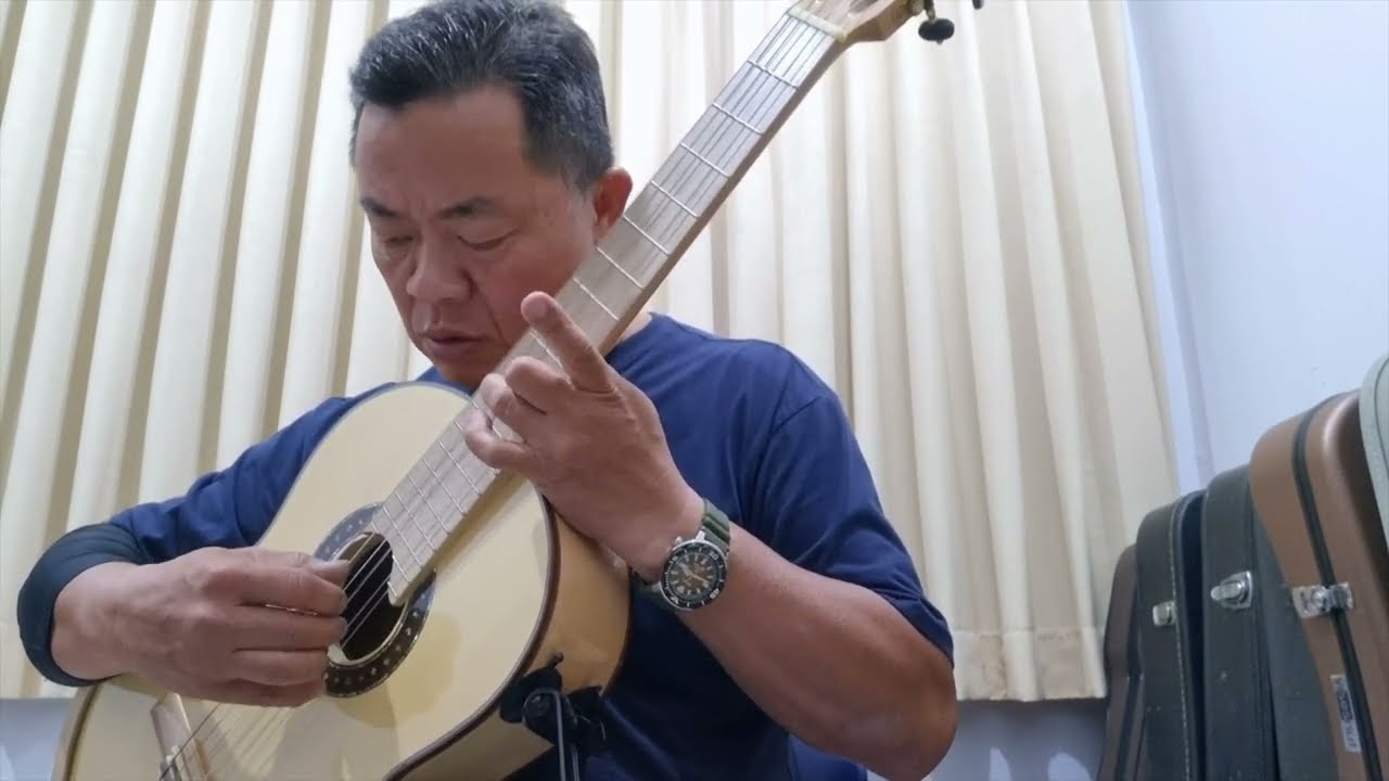 Vincent (Starry, Starry Nights) - Don McLean