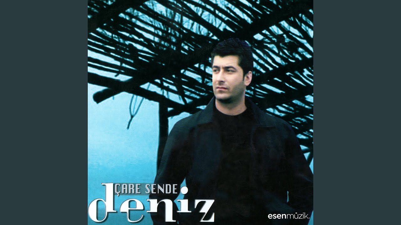 Seni Seviyorum
