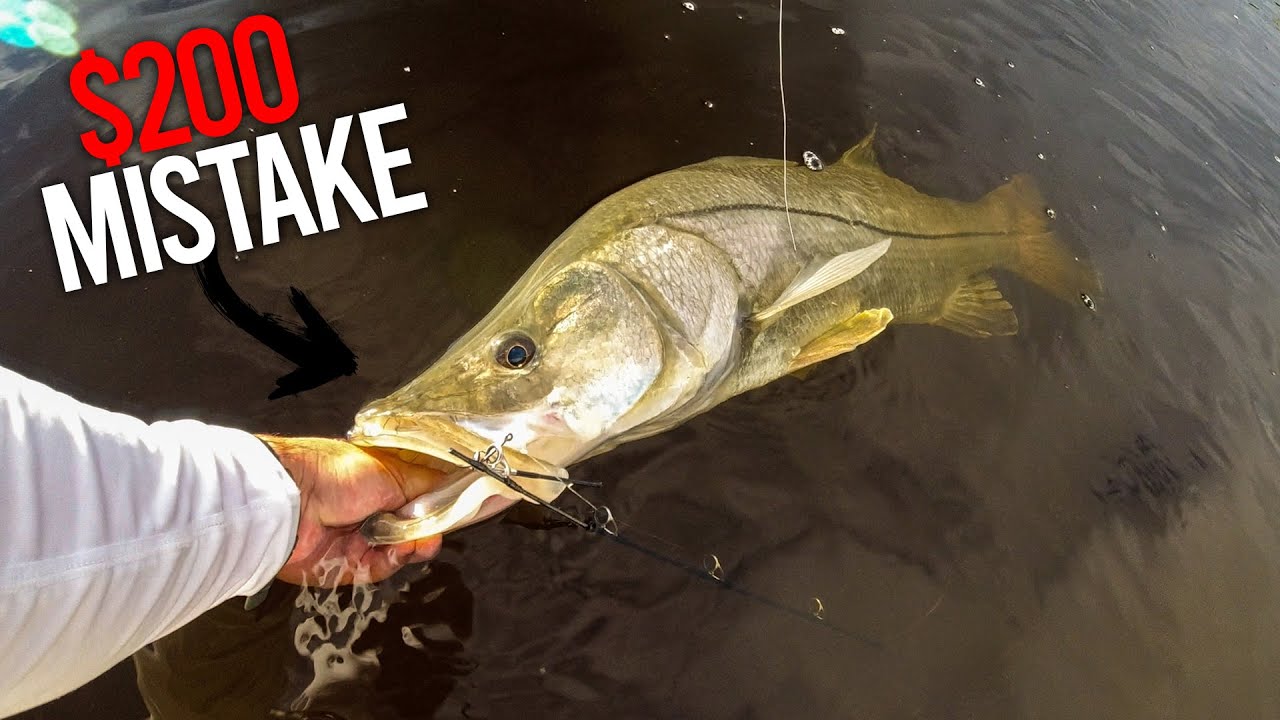 I Broke a $200 Rod Landing this Giant Snook