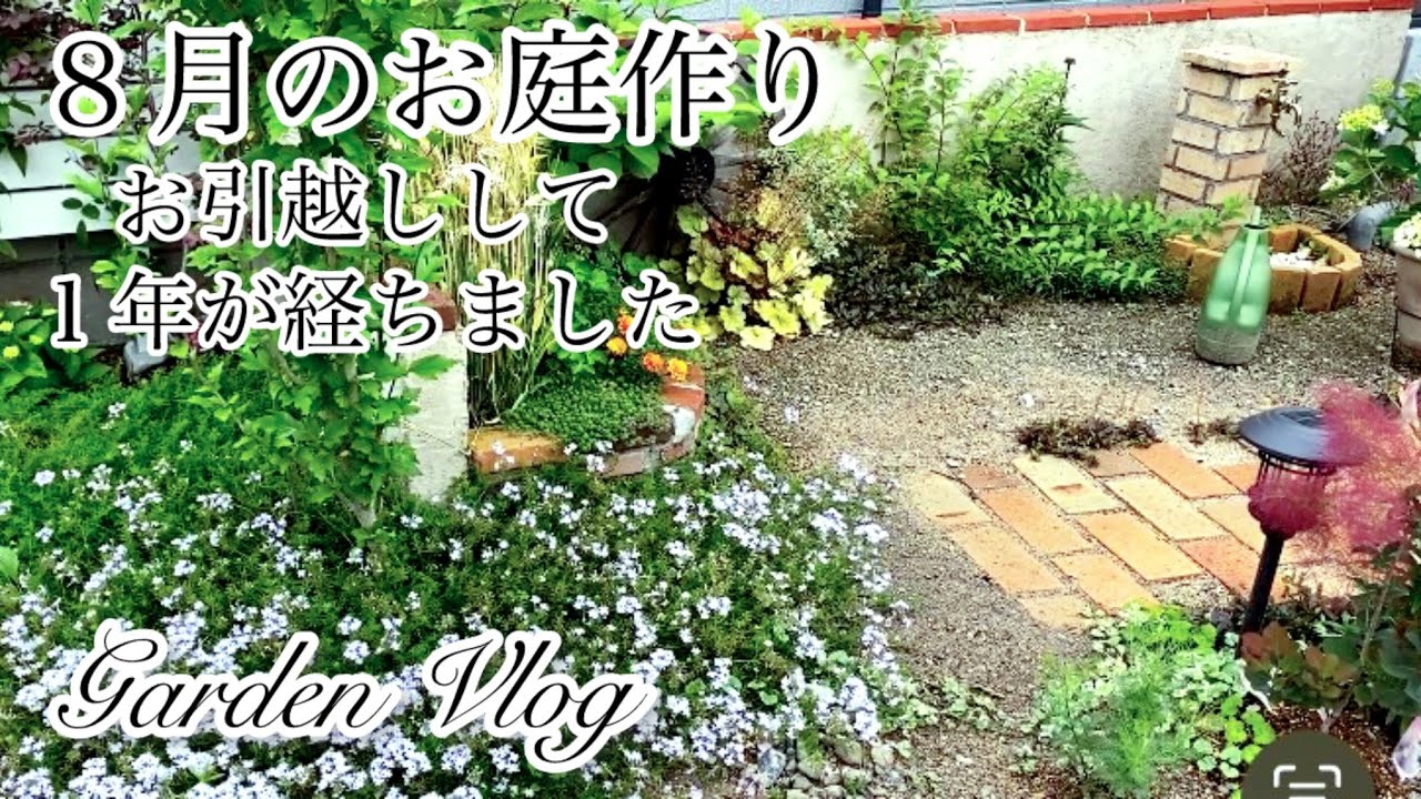 【ガーデニングvlog】2025お庭DIY総集編／白壁作り始めます／サルスベリ植えつけ