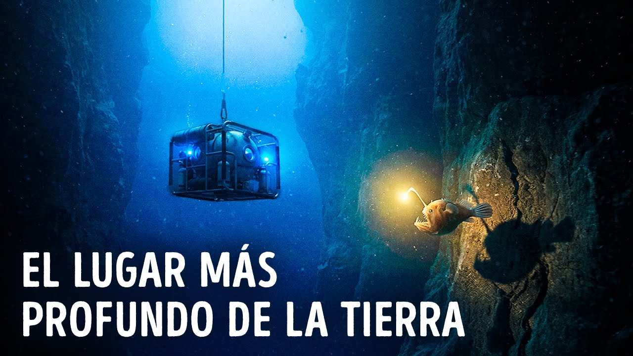 Científicos finalmente explicaron los extraños sonidos del abismo de las Marianas