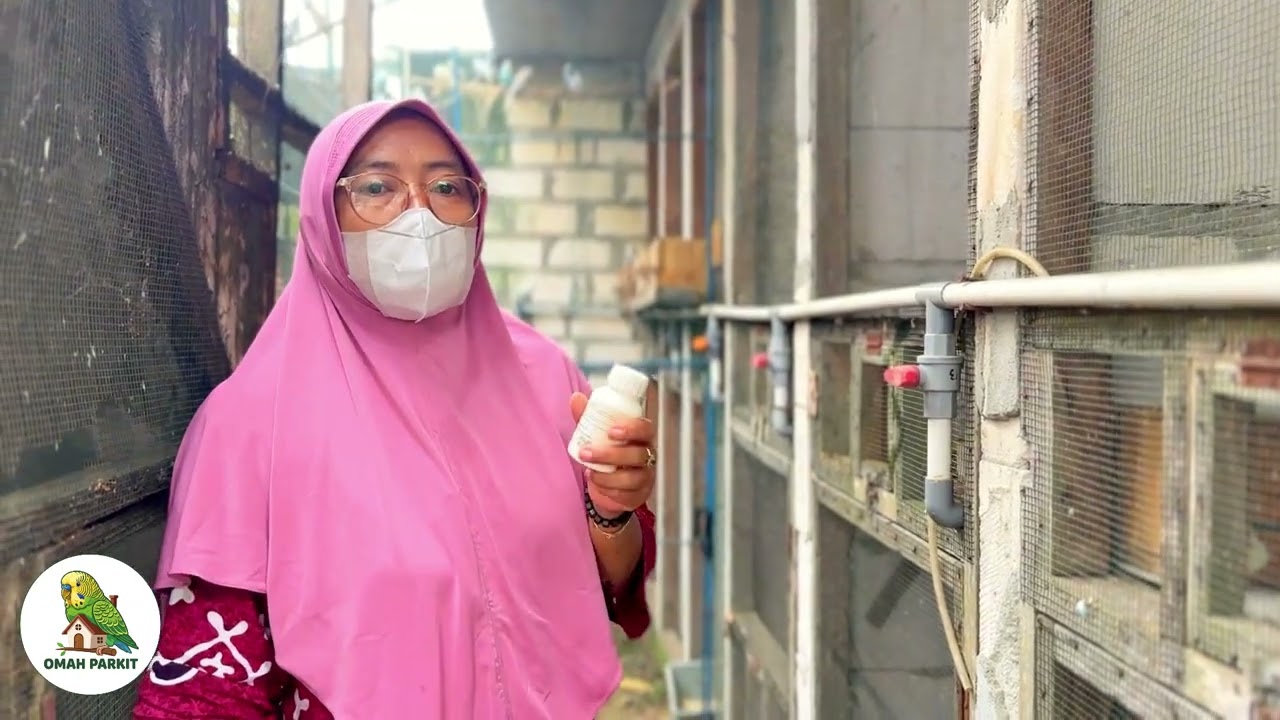 RUTINITAS OMAH PARKIT