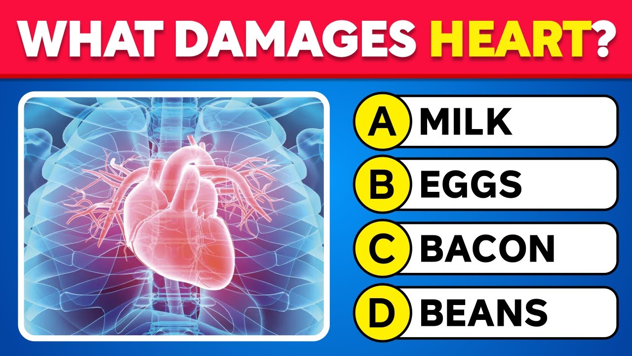 Can You Pass This Human Body Quiz? 🫀 Test Yourself With 50 Anatomy Questions! 📕