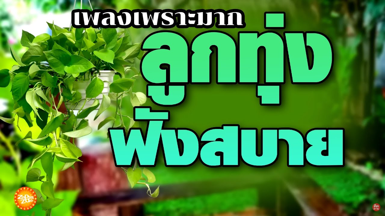 เพลงลูกทุ่งฟังสบาย #รวมเพลงลูกทุ่งฟังเพราะ #เสียงดี