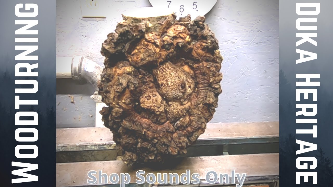Woodturning - Birch Burl Dinosaur Egg Hollowform