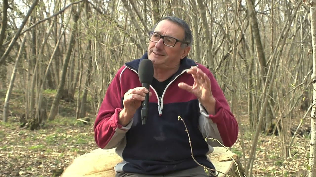 LIFE PALU - DIMOSTRAZIONE DI TAGLIO ALBERI - 29.03.2022 – VIDOR (TV) INTRODUZIONE